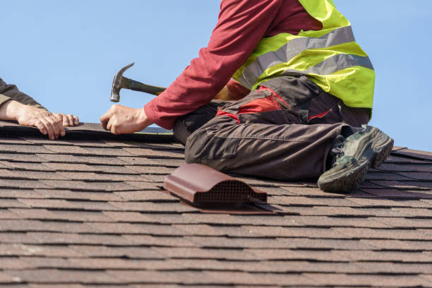 Roof Gutter Cleaning in Woodbine, IA