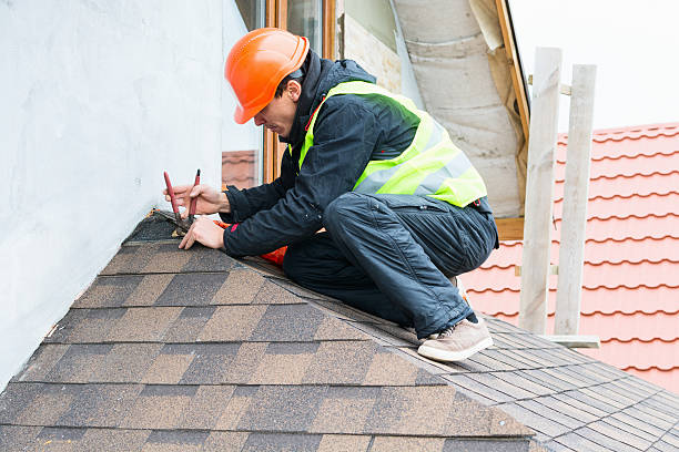 Best Roof Gutter Cleaning  in Woodbine, IA