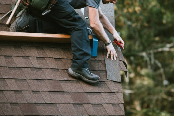 Best Local Roofing Companies  in Woodbine, IA